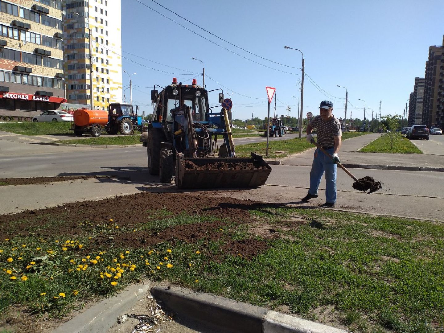 благоустройство, газон, Лосино-Петрвоский