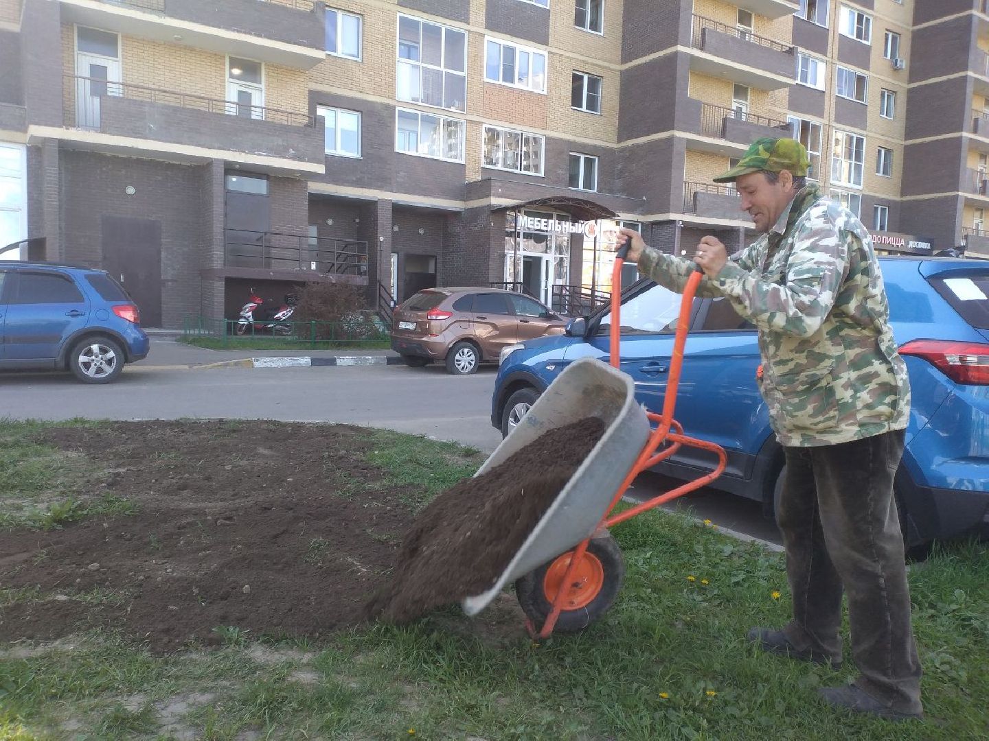 благоустройство, газон, Лосино-Петрвоский