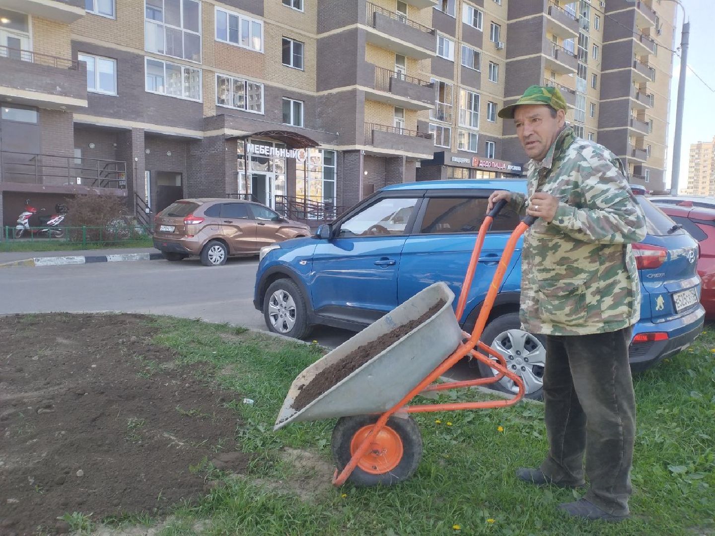 благоустройство, газон, Лосино-Петрвоский