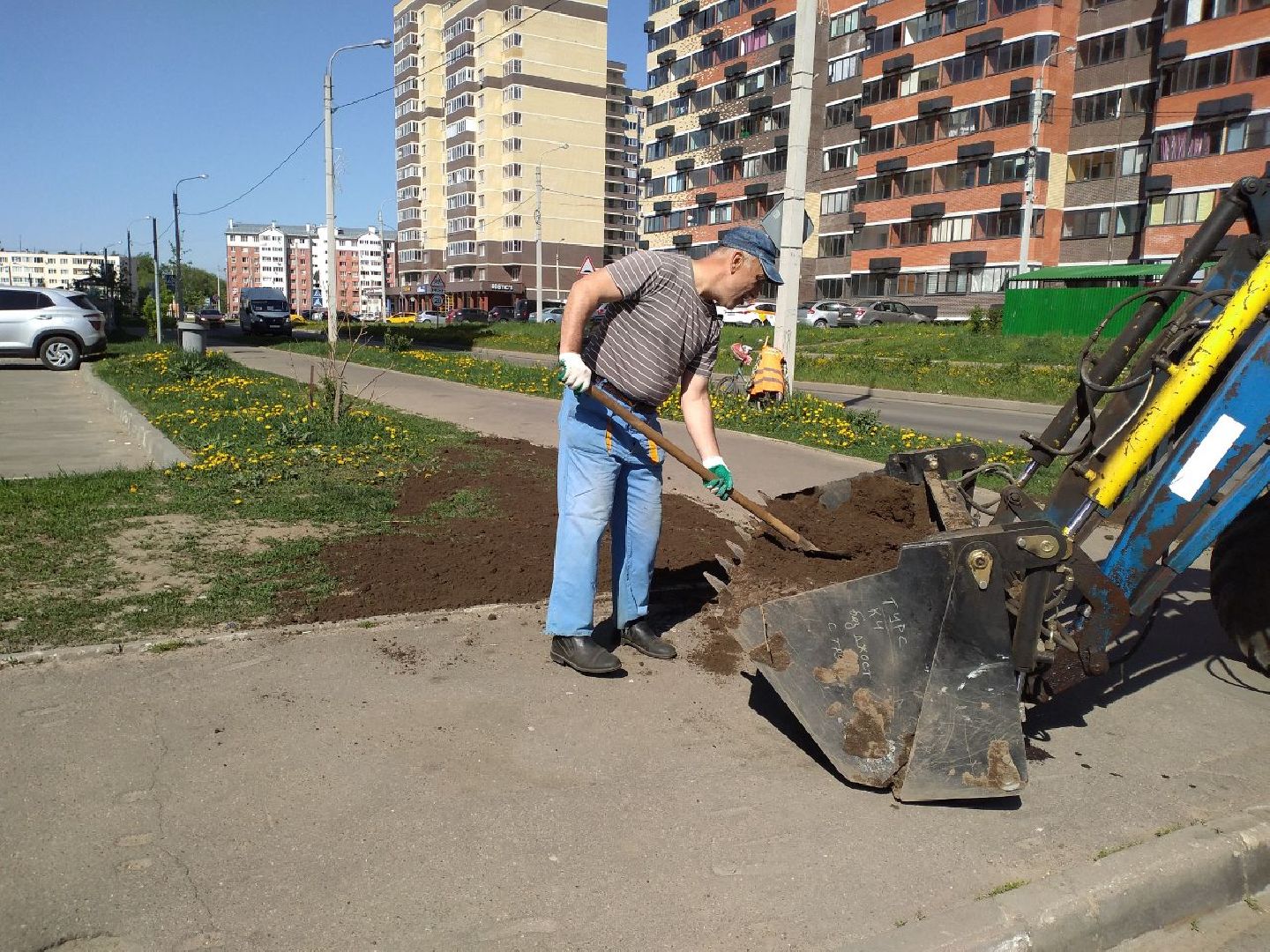 благоустройство, газон, Лосино-Петрвоский