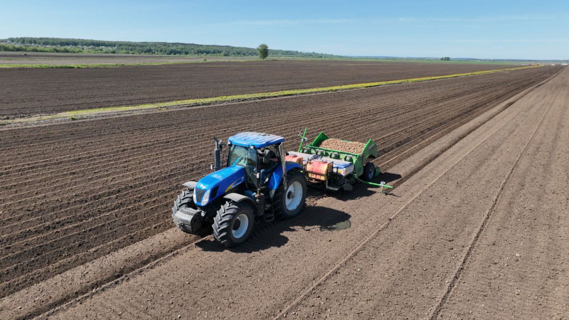 Серпухов, Подмосковье, посадки, сельскоехозяйство, агрономы