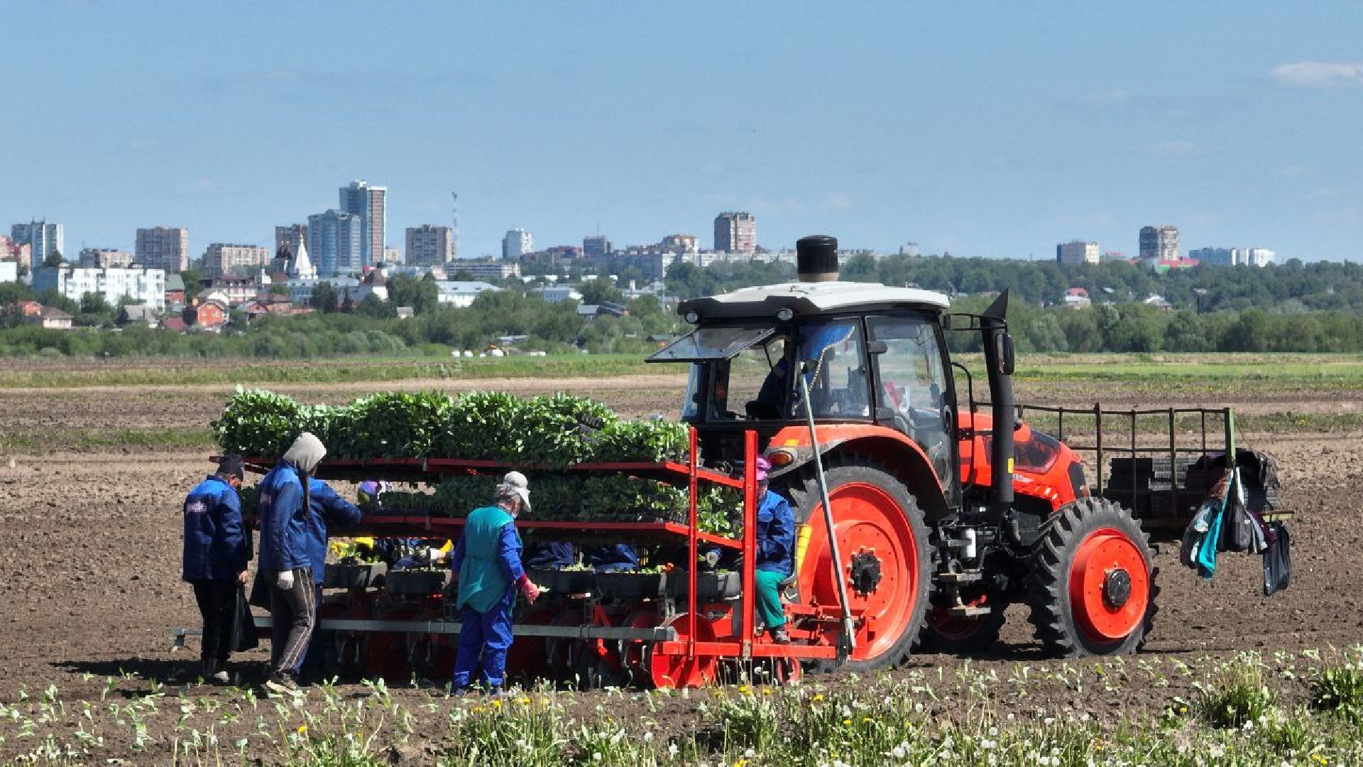 Серпухов, Подмосковье, посадки, сельскоехозяйство, агрономы