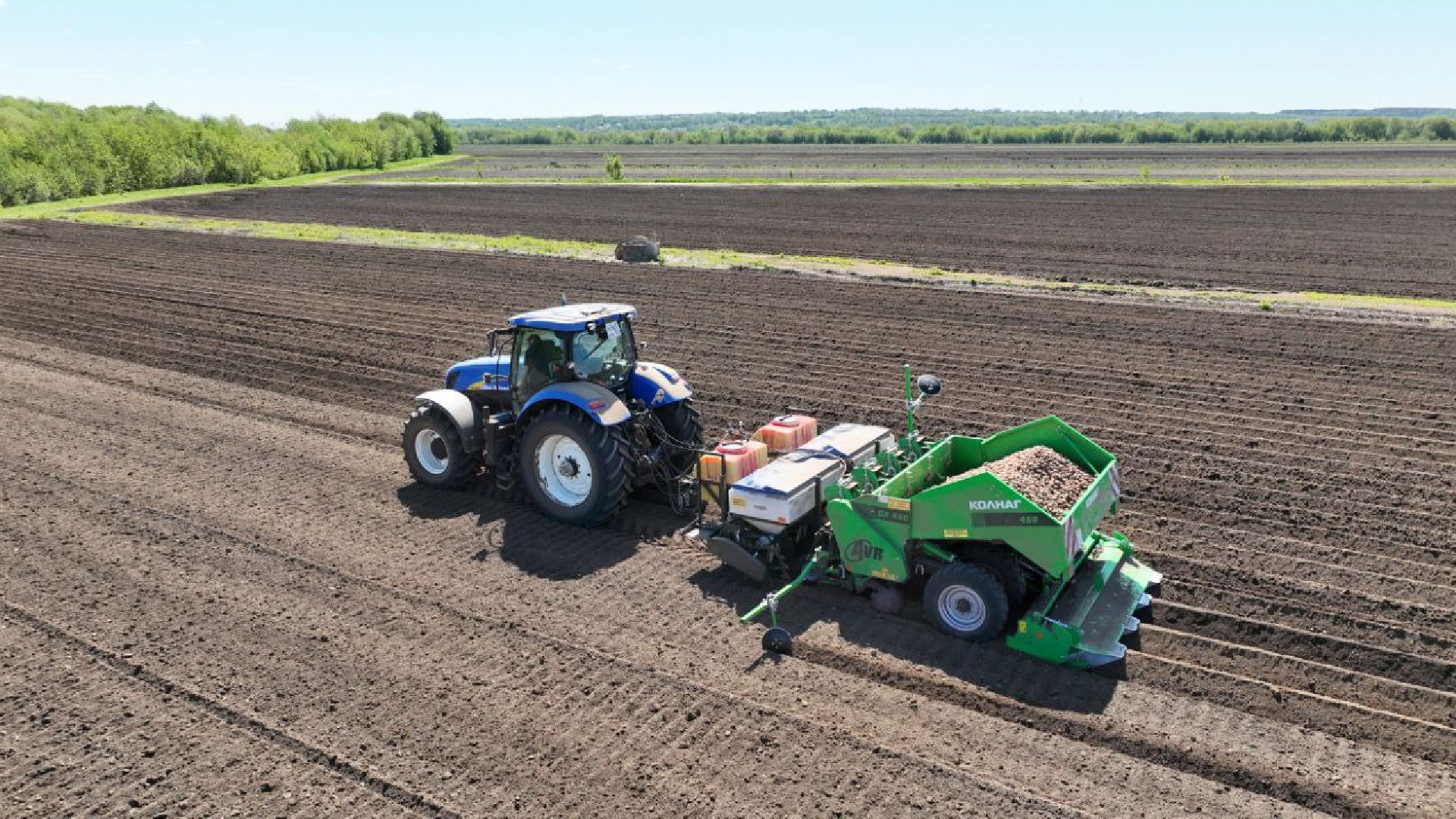 Серпухов, Подмосковье, посадки, сельскоехозяйство, агрономы