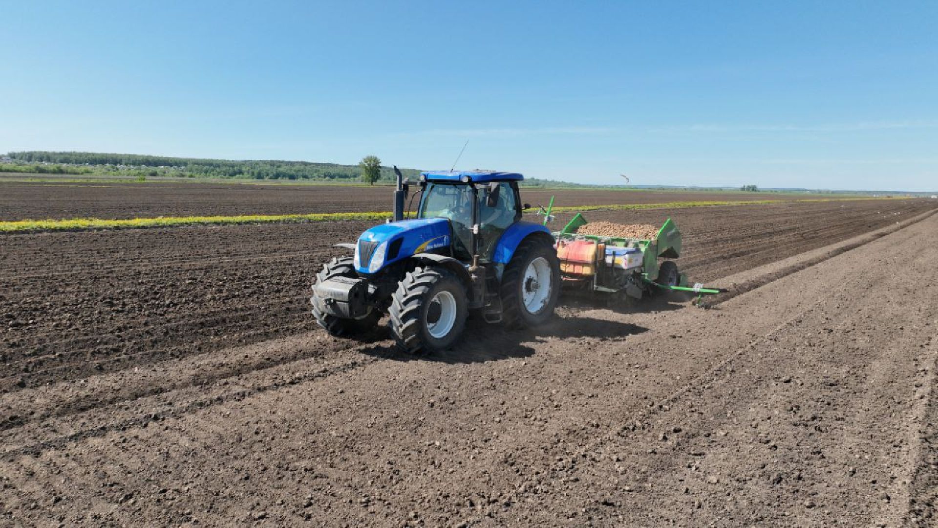 Серпухов, Подмосковье, посадки, сельскоехозяйство, агрономы