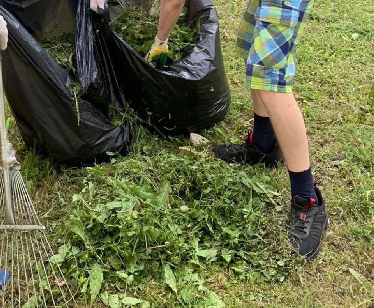 трудовые бригады, трудовое дето, цми, Протвино, подростки