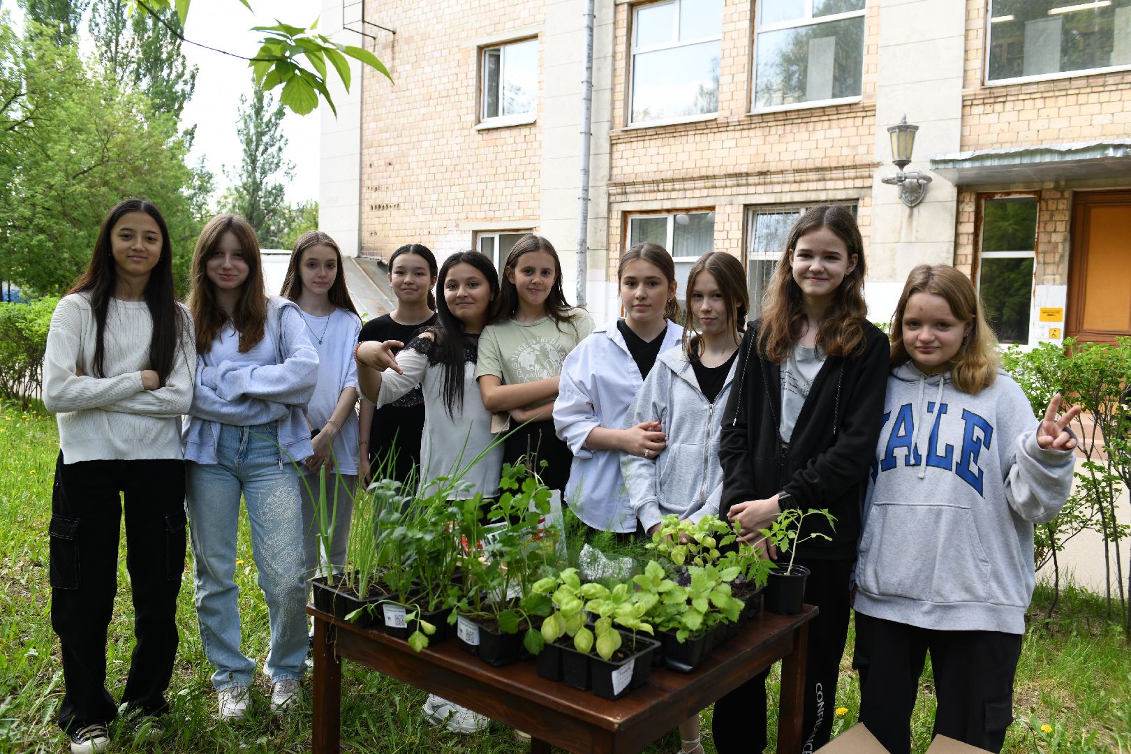 лыткарино, общество, парк, огород, парковый ответ,