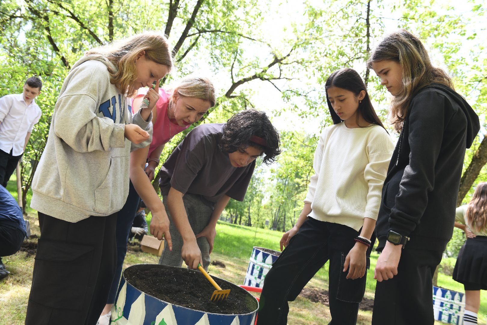 лыткарино, общество, парк, огород, парковый ответ,