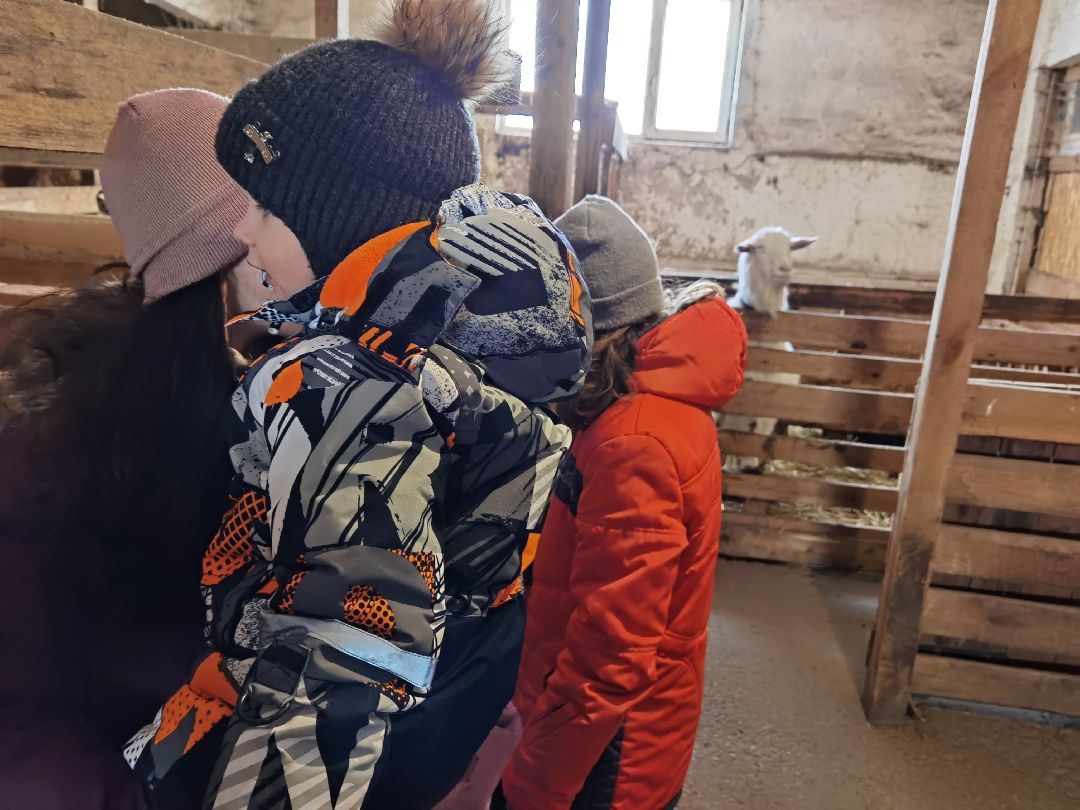 Контактный зоопарк, Горки