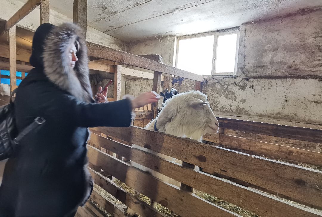 Контактный зоопарк, Горки