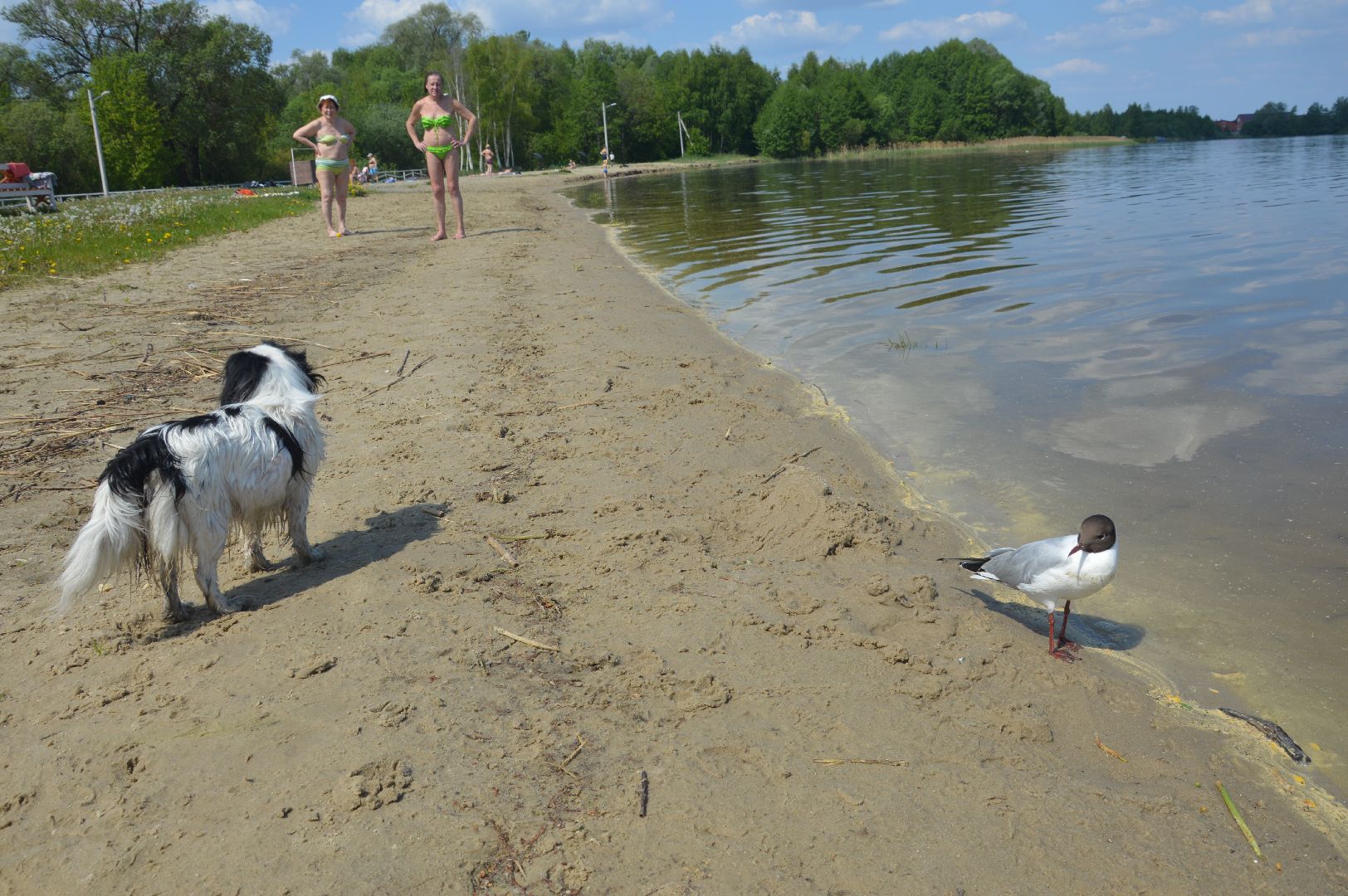пляж, Шатура, открытие сезона.