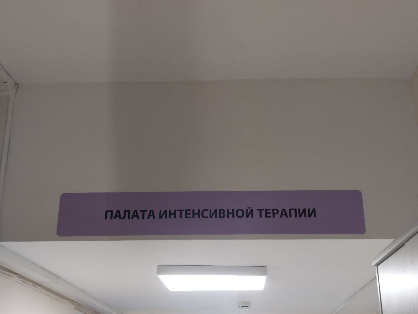 медицина, новый специалист, анестезиолог, Дубна