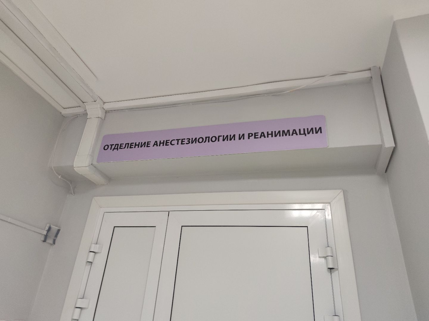 медицина, новый специалист, анестезиолог, Дубна