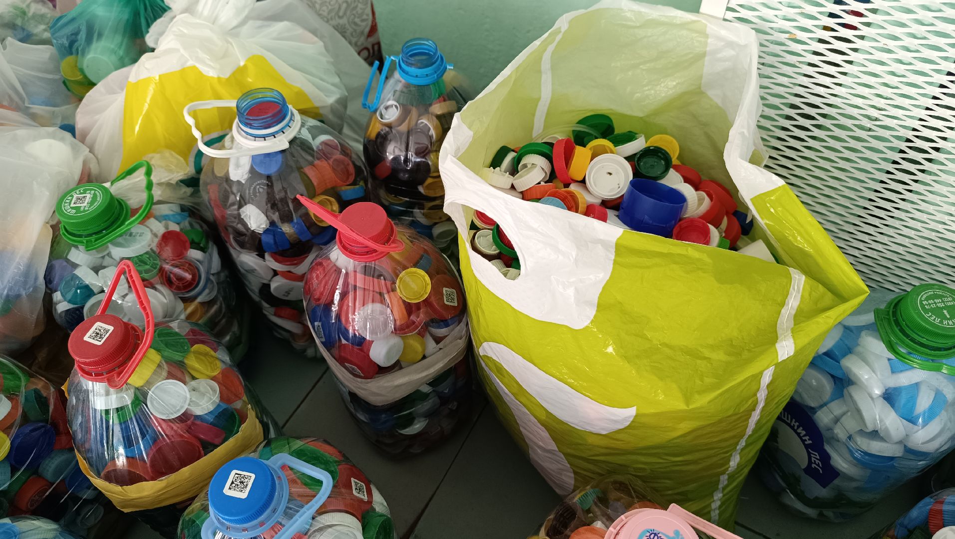 Лобня, общество, экология