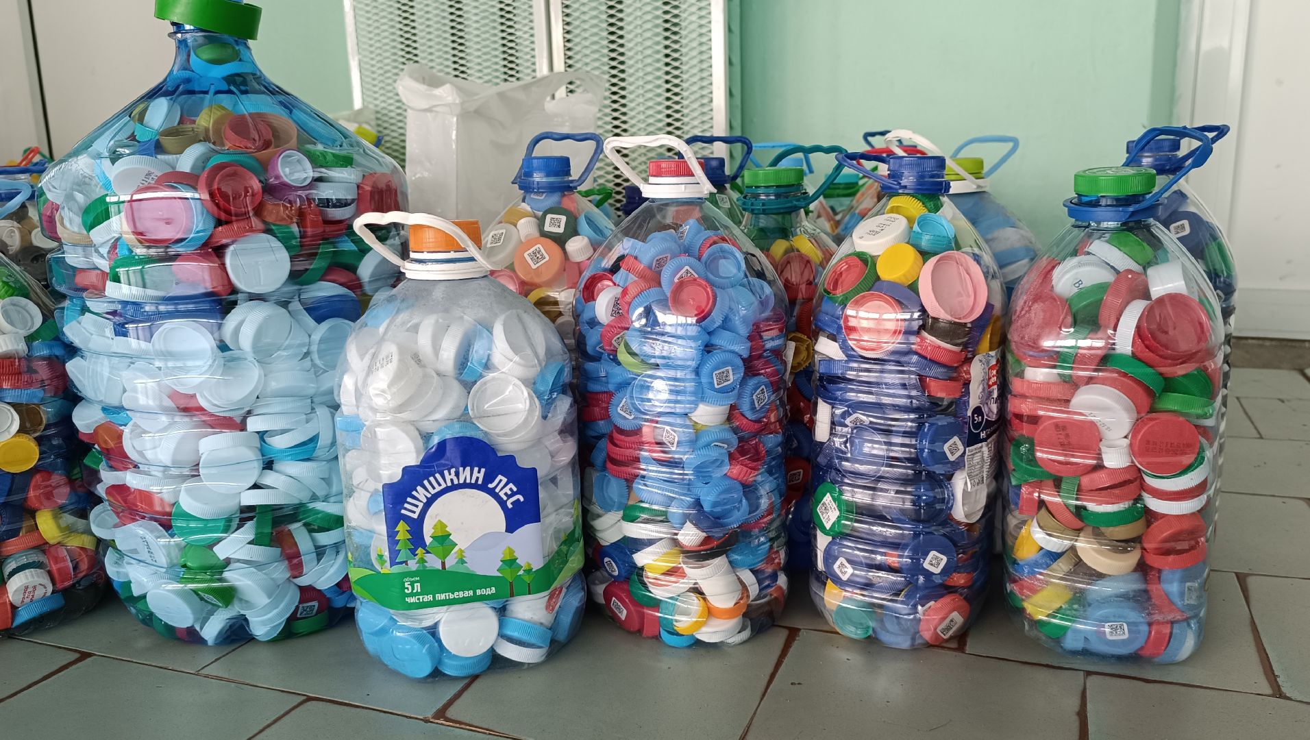 Лобня, общество, экология