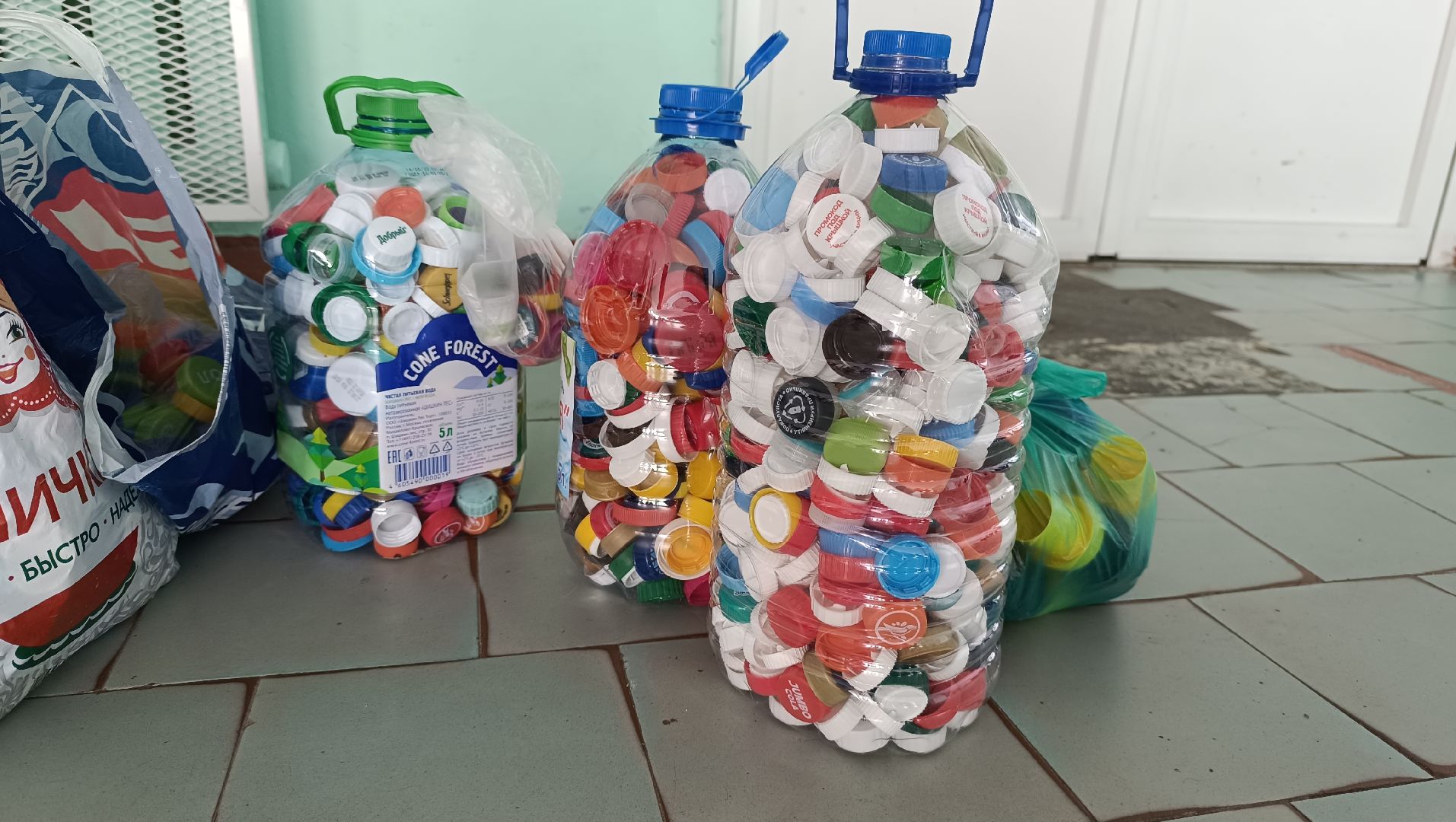 Лобня, общество, экология