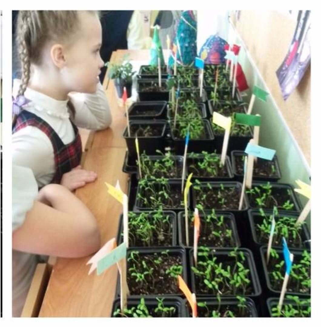 Экология, конкурс, университет, Дубна