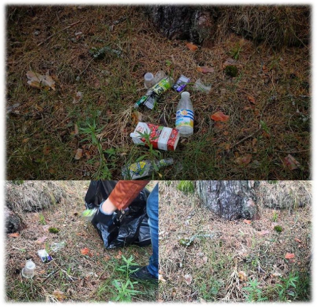 Экология, конкурс, университет, Дубна