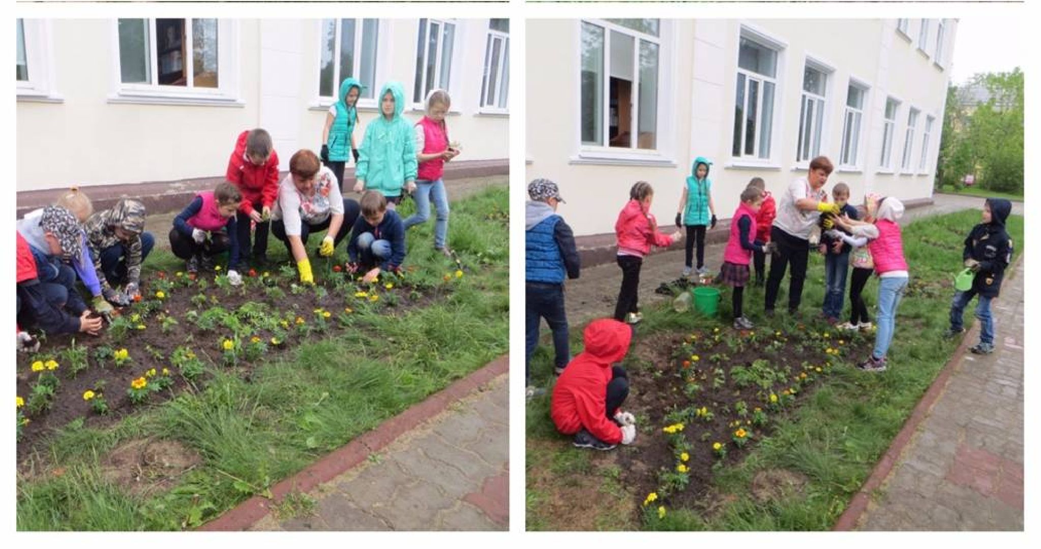 Экология, конкурс, университет, Дубна