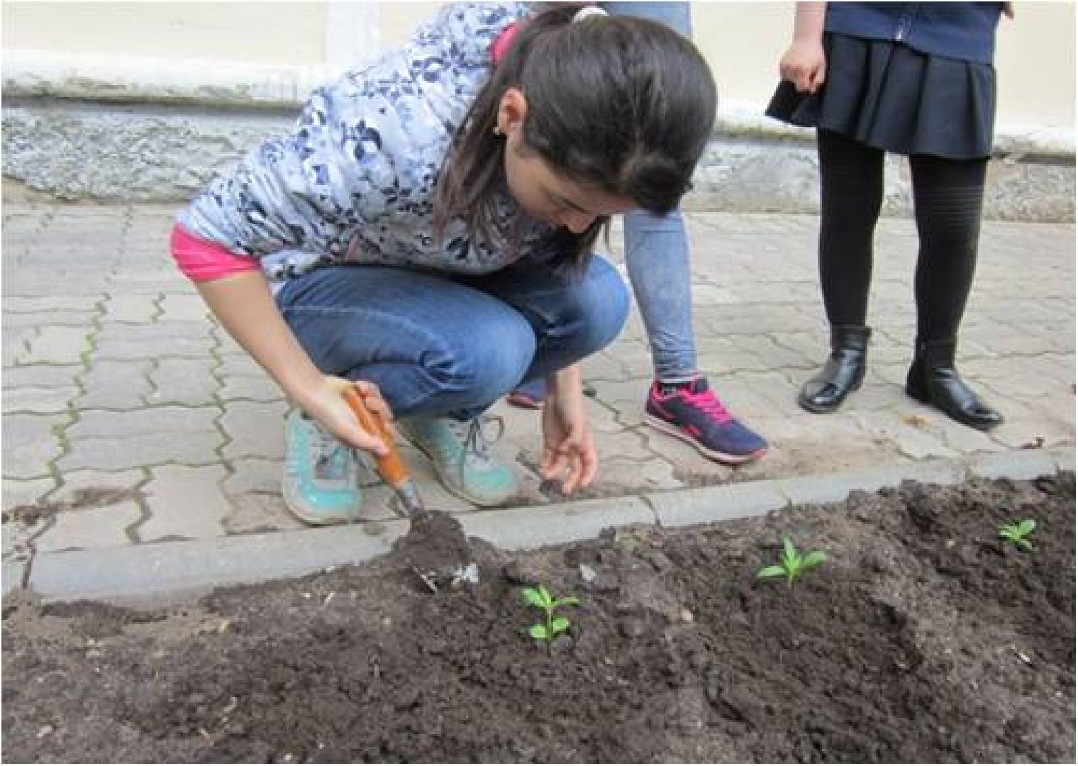 Экология, конкурс, университет, Дубна