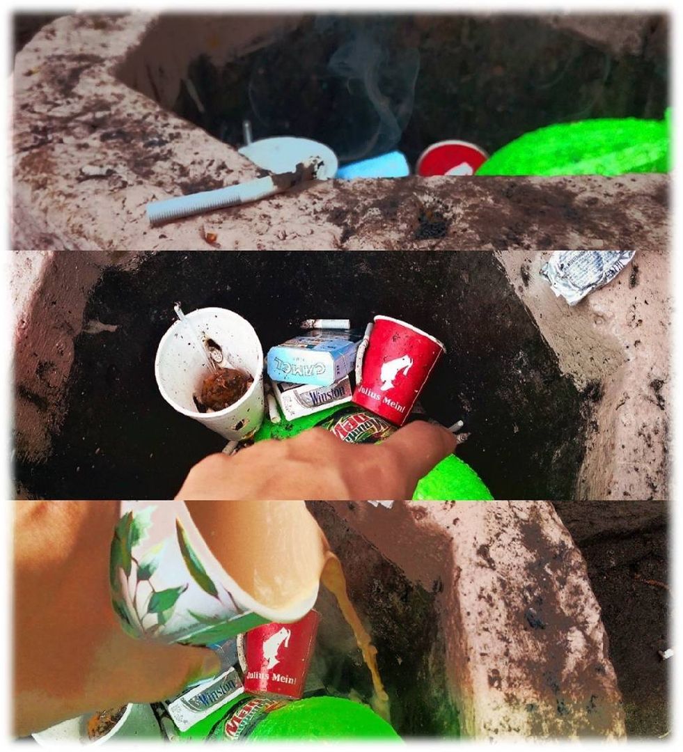 Экология, конкурс, университет, Дубна