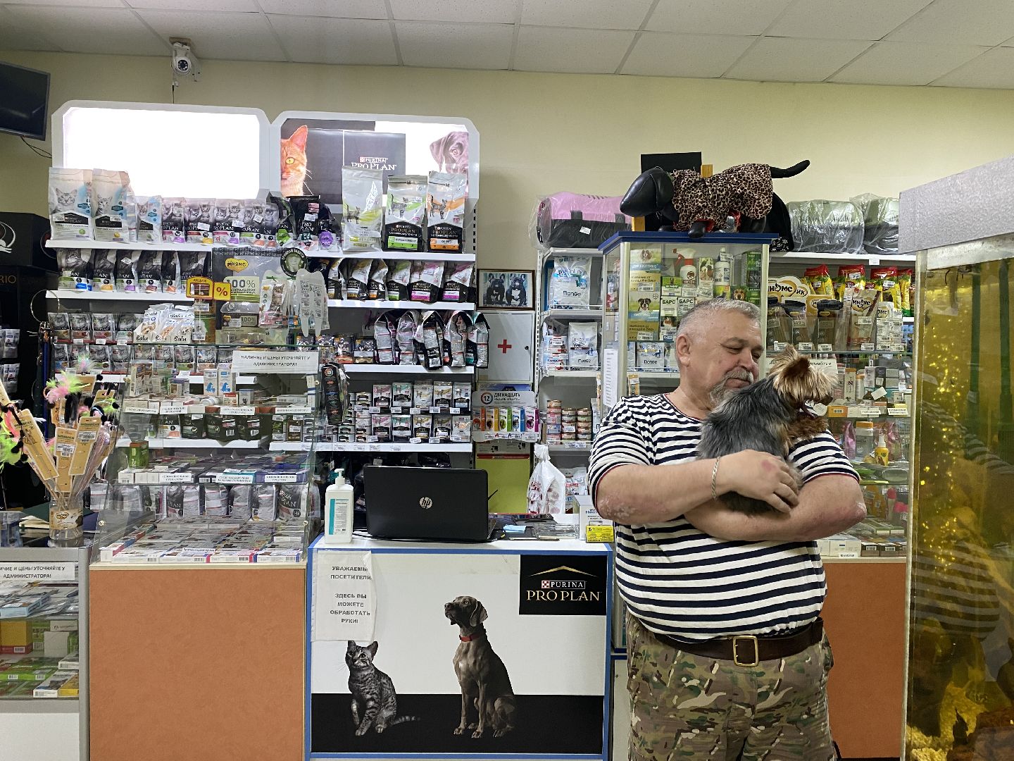 Чехов, ветеринар, клещи, собаки, рекомендации