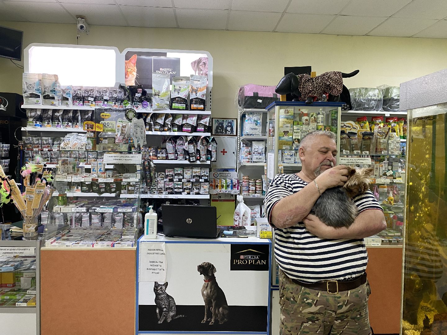 Чехов, ветеринар, клещи, собаки, рекомендации