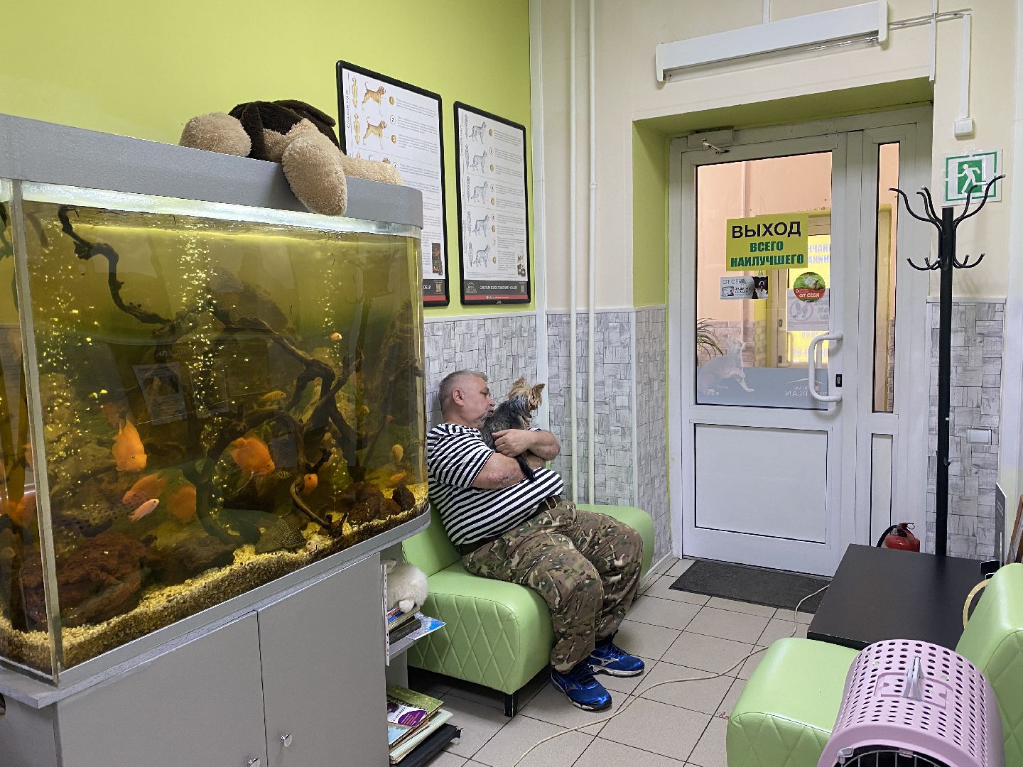 Чехов, ветеринар, клещи, собаки, рекомендации