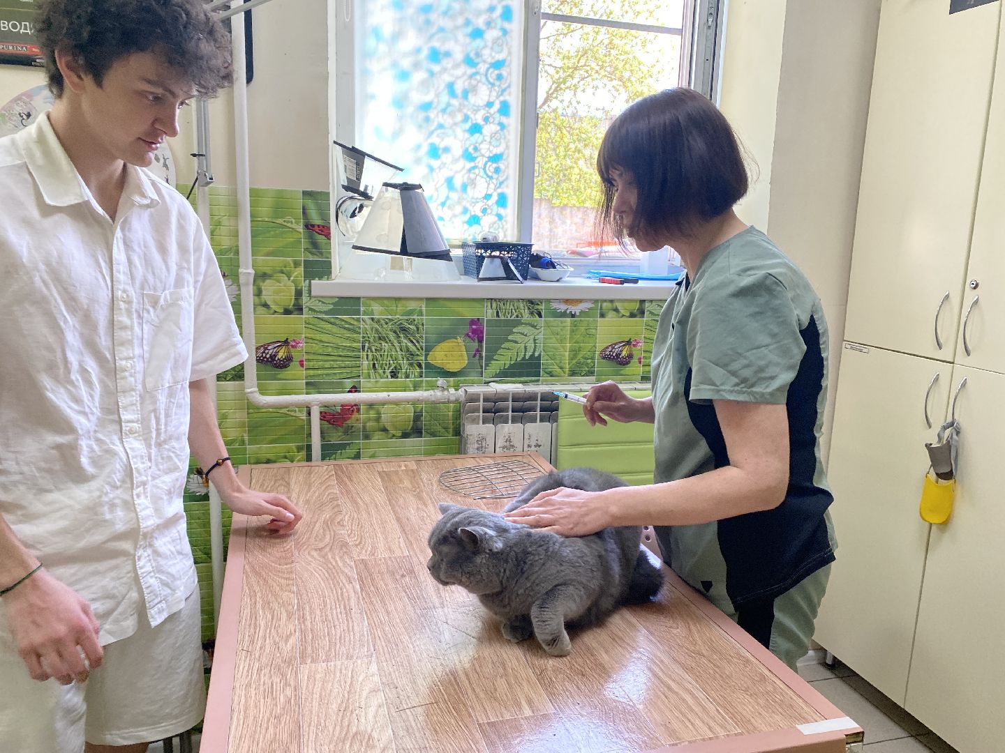 Чехов, ветеринар, клещи, собаки, рекомендации