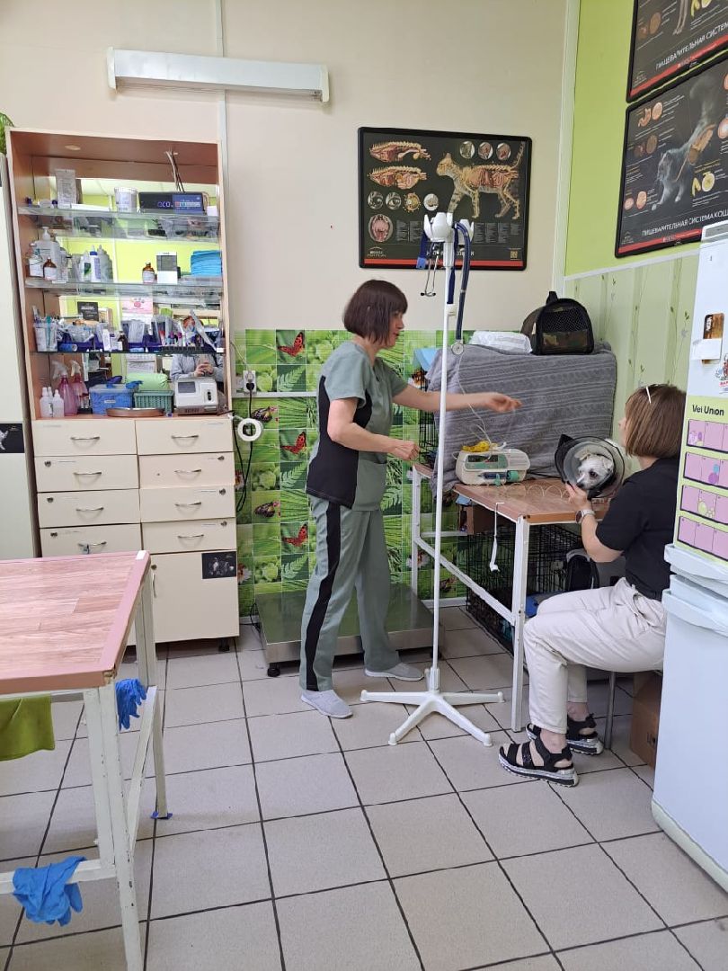 Чехов, ветеринар, клещи, собаки, рекомендации