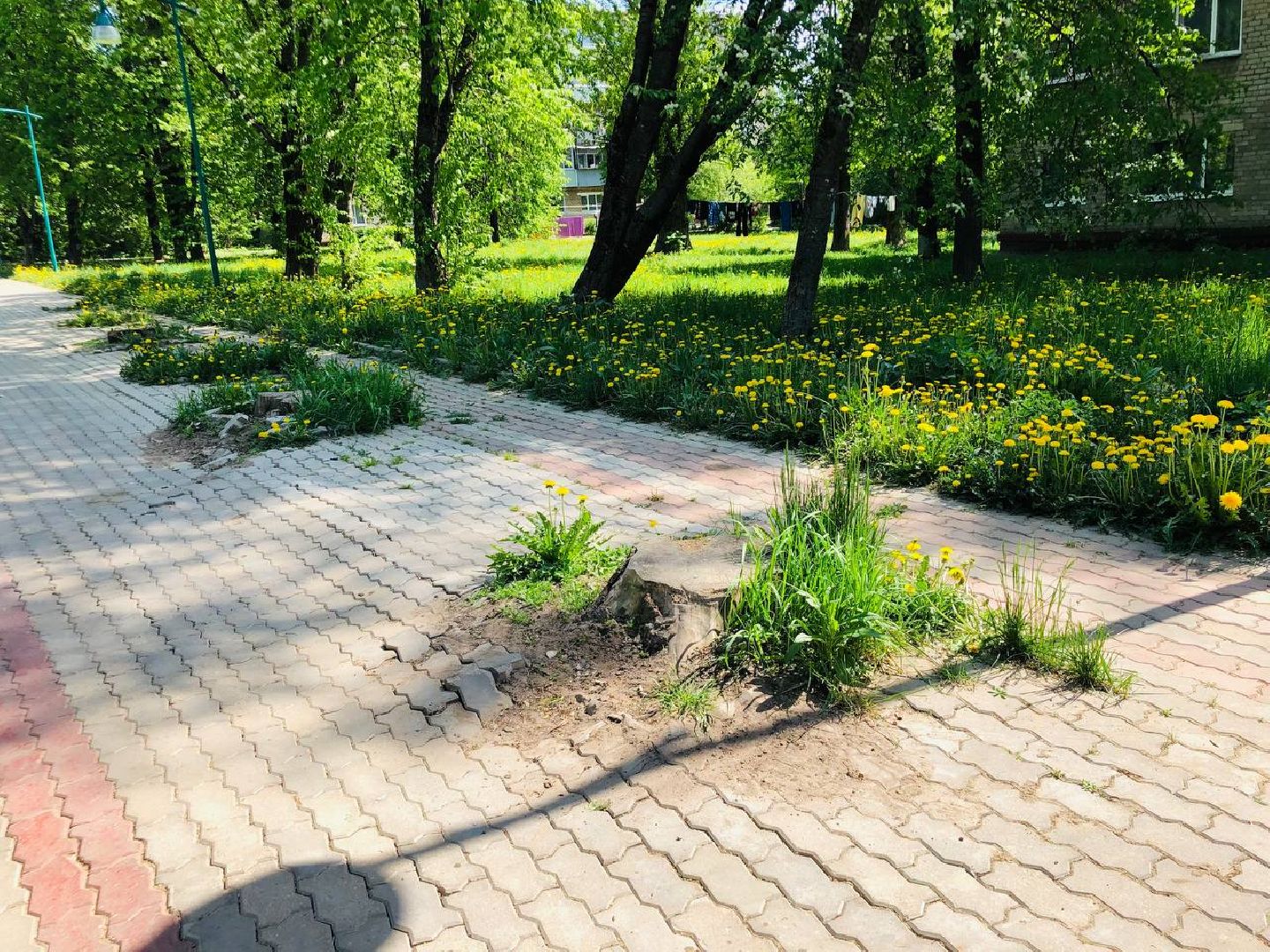 руза, рузский городской округ, благоустройство, парки, комфортная среда, общественные территории