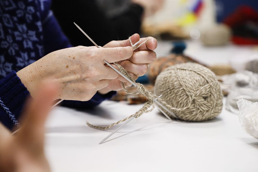 Домодедов, волонтеры,