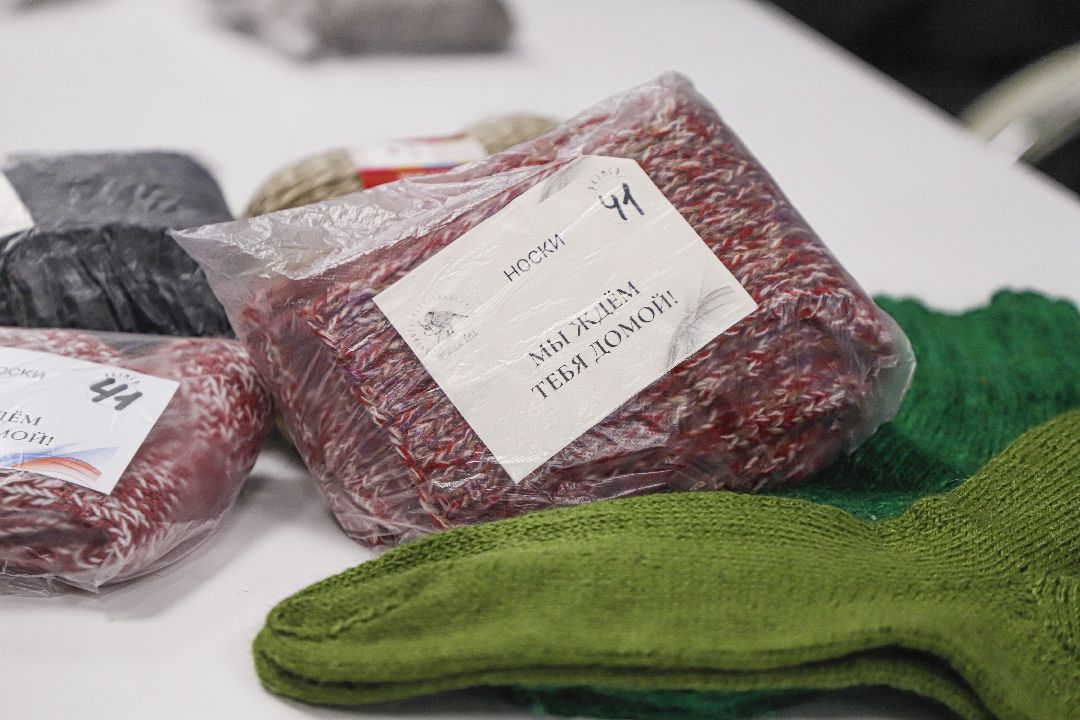 Домодедов, волонтеры,