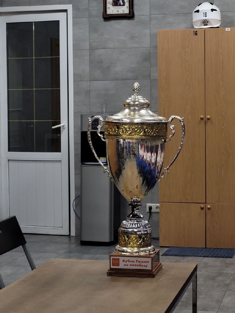 ленинский округ; мотобол; видное; спорт