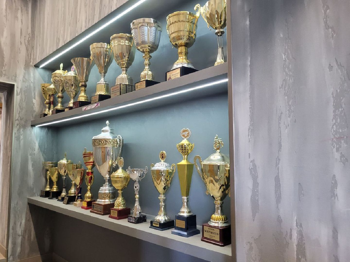 ленинский округ; мотобол; видное; спорт