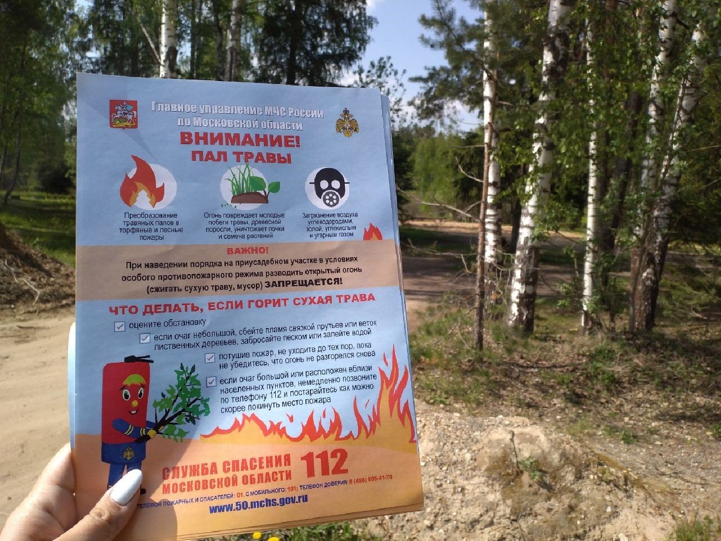 безопасность, пожар, лес, Лосино-Петровский