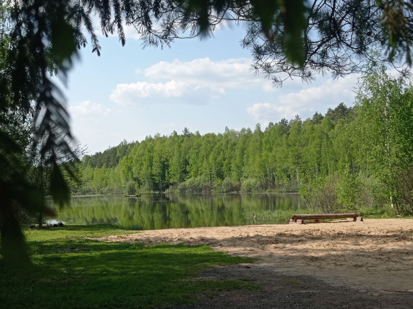 безопасность, пожар, лес, Лосино-Петровский