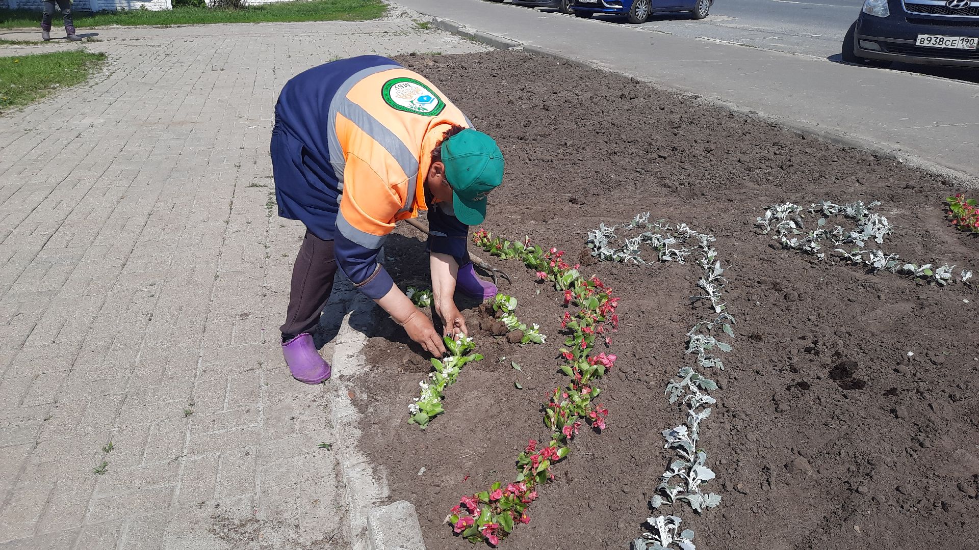 Шатура, первые цветы, высадка цветов в клумбы.