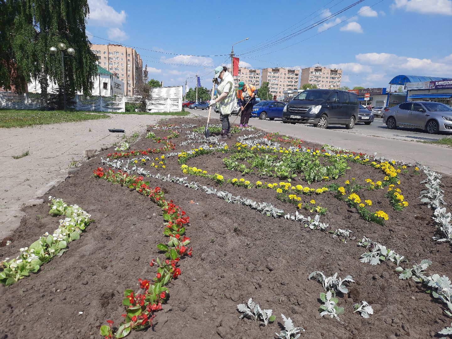 Шатура, первые цветы, высадка цветов в клумбы.
