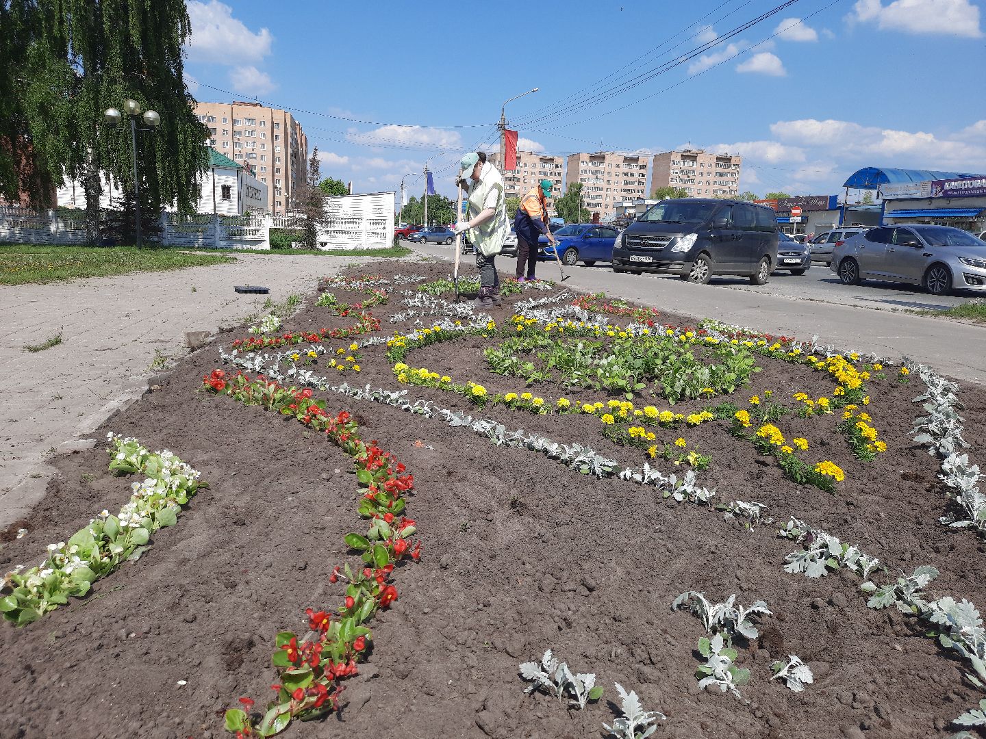 Шатура, первые цветы, высадка цветов в клумбы.