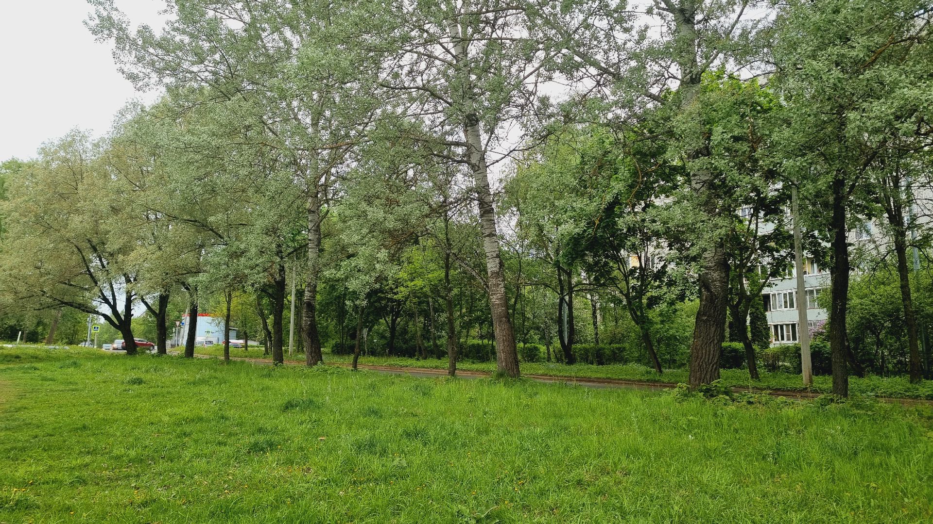 Подмосковье, Ивантеевка, жкх, благоустройство