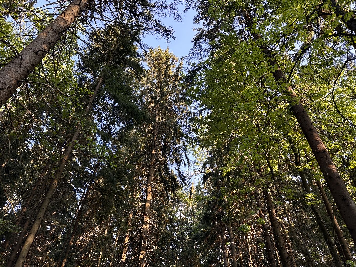 Ночь в Музее, История, Туризм, Одинцово, Курганы, Поход