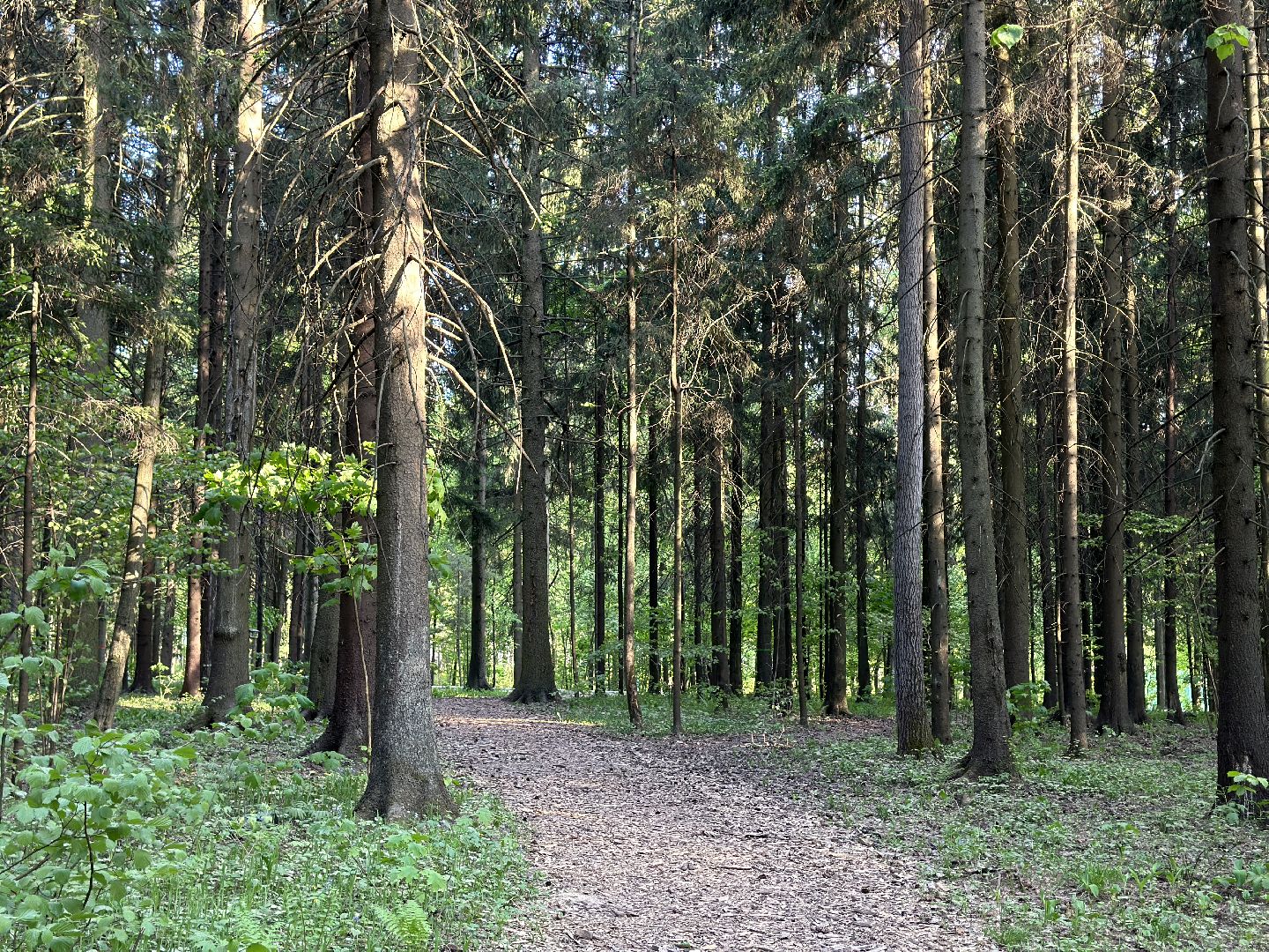 Ночь в Музее, История, Туризм, Одинцово, Курганы, Поход