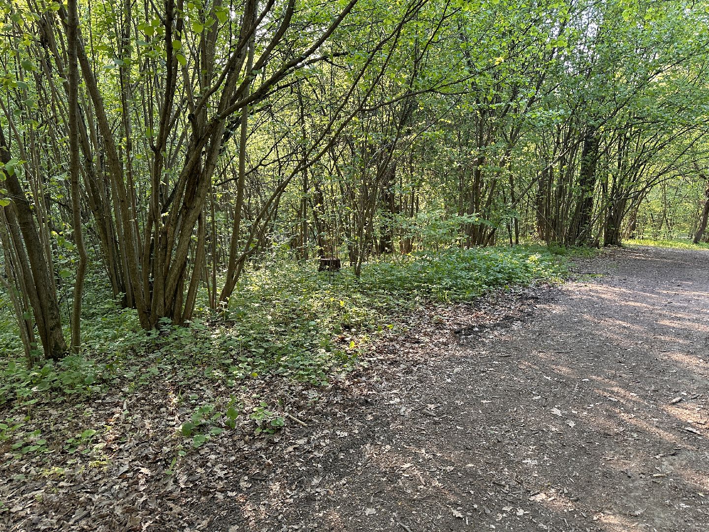 Ночь в Музее, История, Туризм, Одинцово, Курганы, Поход