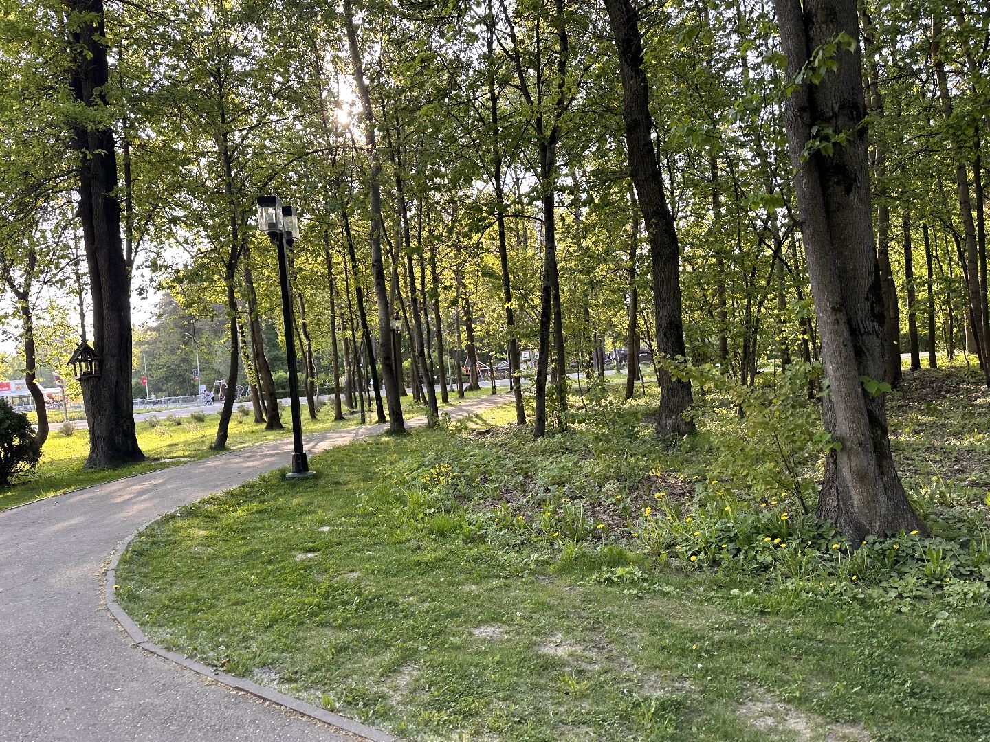 Ночь в Музее, История, Туризм, Одинцово, Курганы, Поход