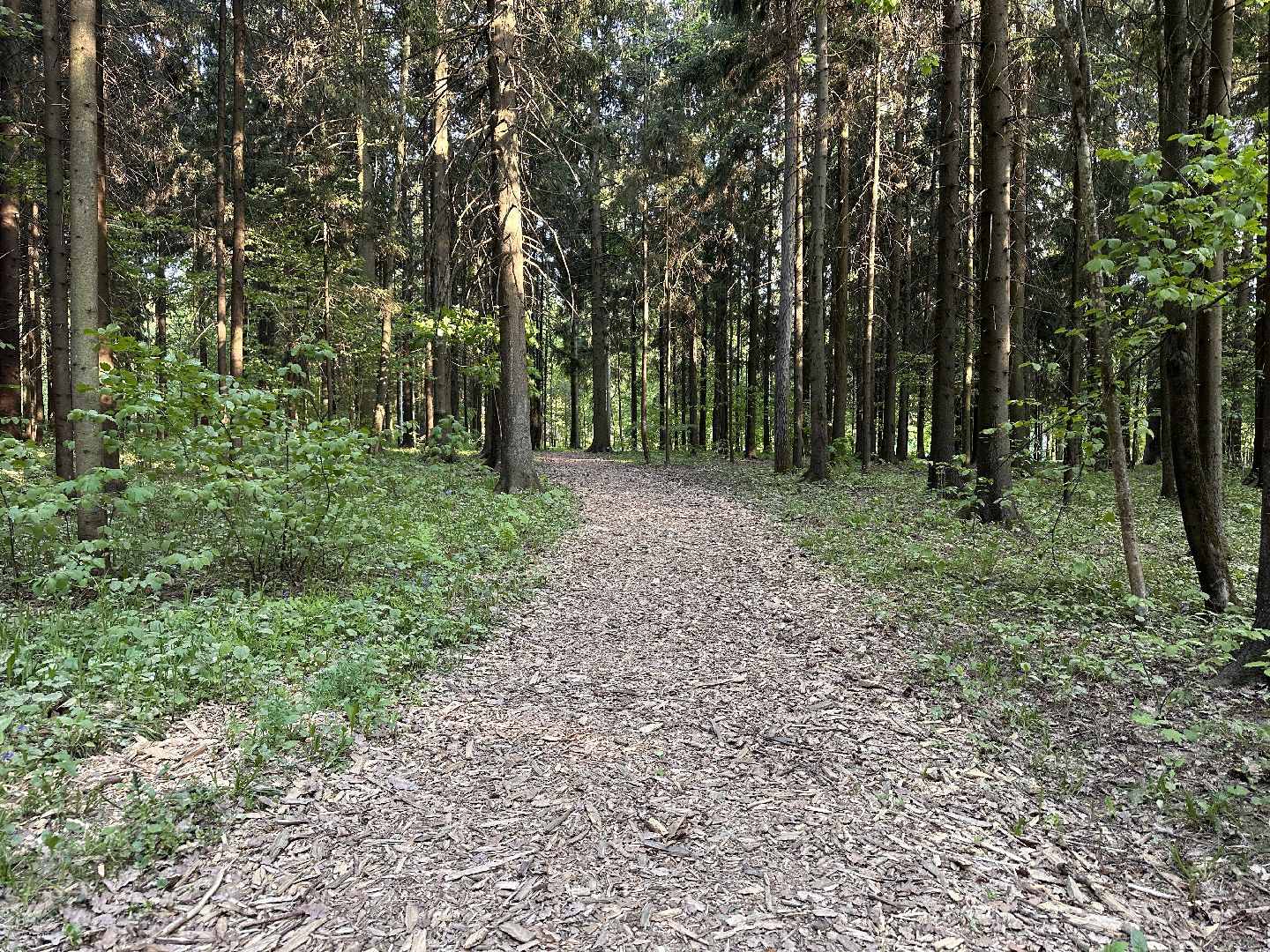 Ночь в Музее, История, Туризм, Одинцово, Курганы, Поход