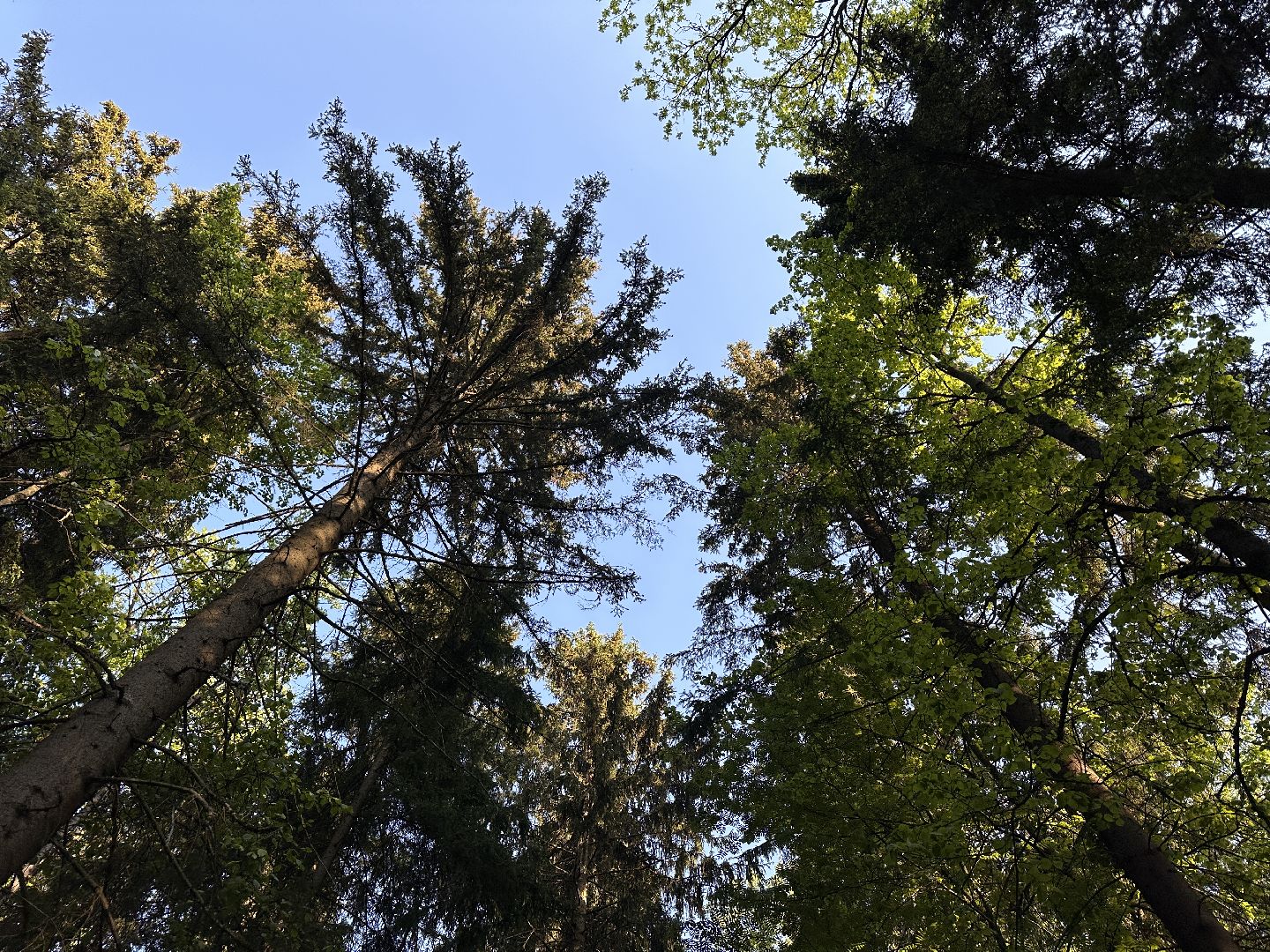 Ночь в Музее, История, Туризм, Одинцово, Курганы, Поход