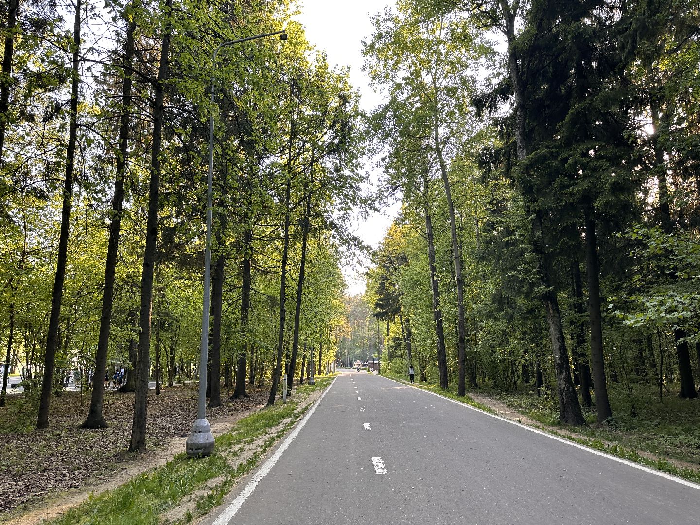 Ночь в Музее, История, Туризм, Одинцово, Курганы, Поход