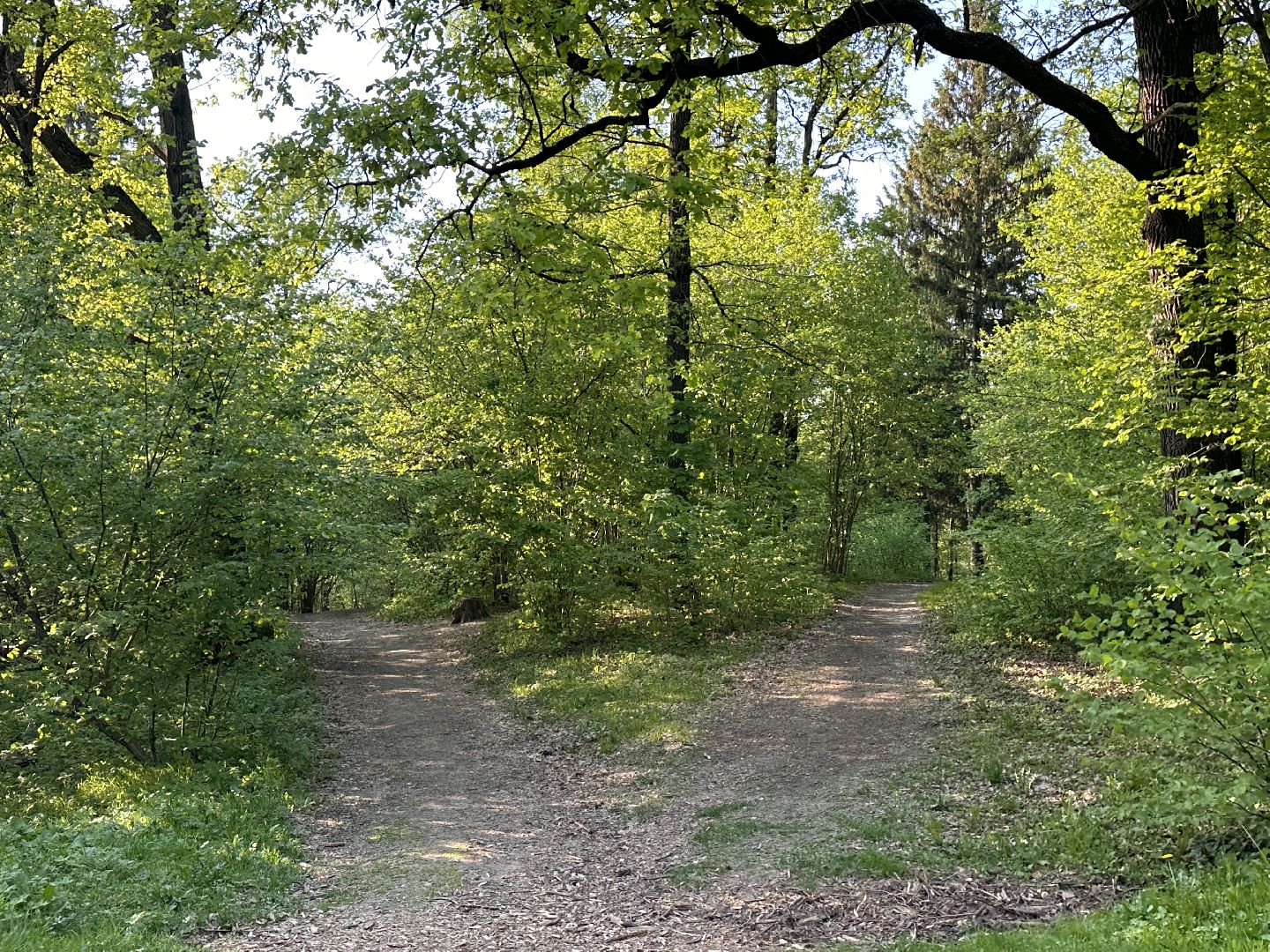 Ночь в Музее, История, Туризм, Одинцово, Курганы, Поход