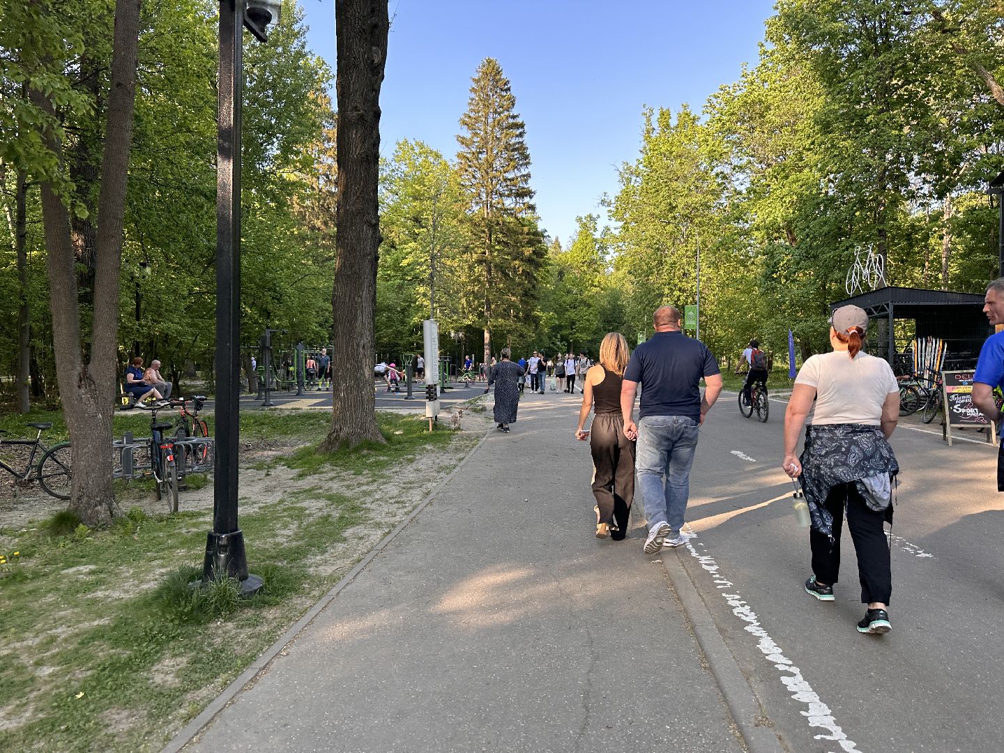 Ночь в Музее, История, Туризм, Одинцово, Курганы, Поход