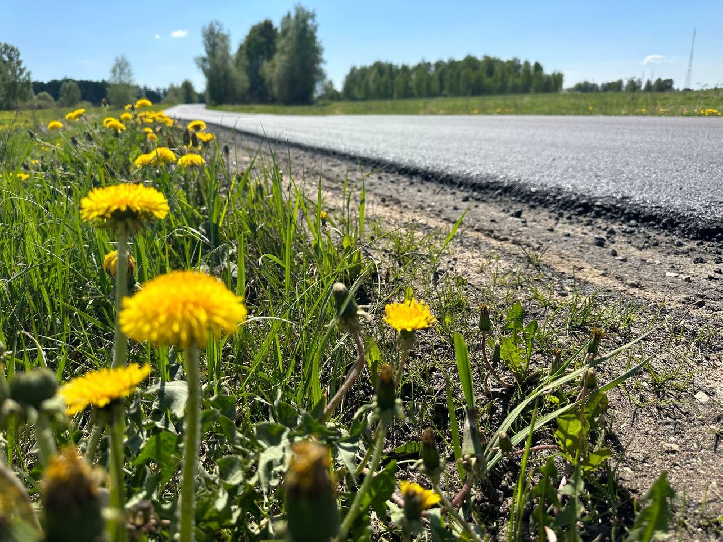 Можайск, Можайский городской округ, Подмосковье, ремонт дорог, Добродел, дороги